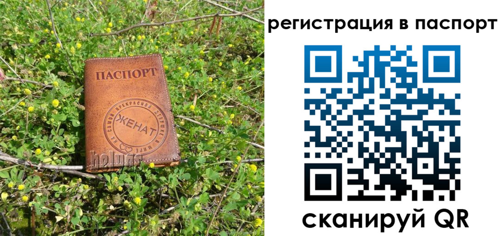 прописка законно в Читинской области
